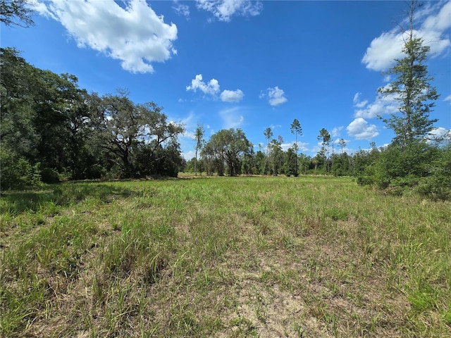 7158 N Lecanto Hwy, Hernando, FL 34442