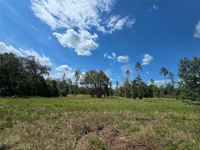 7158 N Lecanto Hwy, Hernando, FL 34442