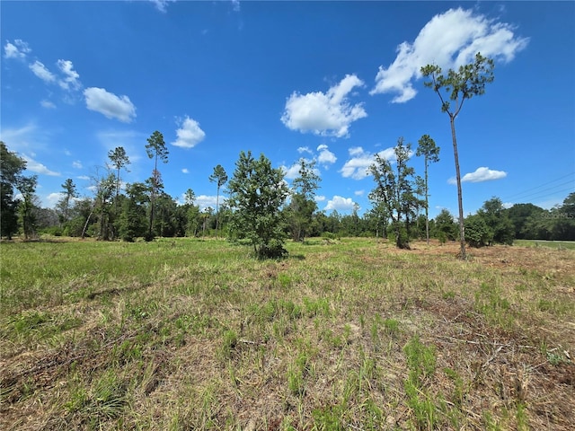 7158 N Lecanto Hwy, Hernando, FL 34442