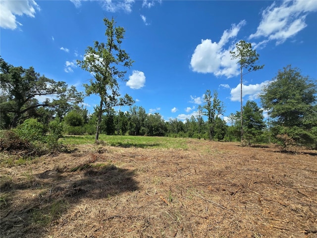 7158 N Lecanto Hwy, Hernando, FL 34442