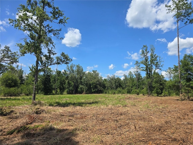 7158 N Lecanto Hwy, Hernando, FL 34442