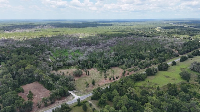 7158 N Lecanto Hwy, Hernando, FL 34442