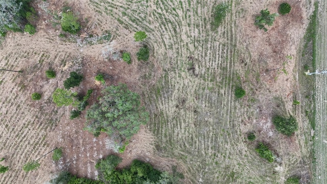 7158 N Lecanto Hwy, Hernando, FL 34442