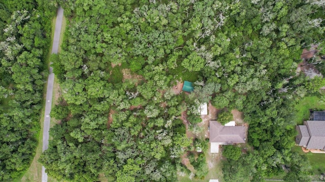 2105 E Dearborn Dr, Hernando, FL 34442 - view of property location