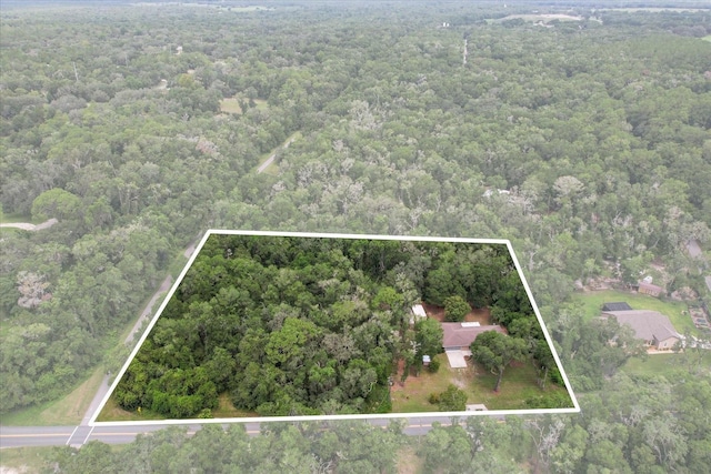 2105 E Dearborn Dr, Hernando, FL 34442 - aerial overview of property's location with a heavily wooded area and property parcel outlined