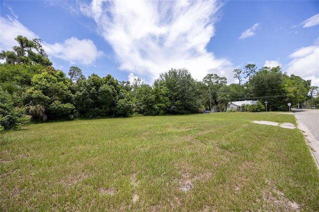 203 NW 14th Ave, Gainesville, FL 32601