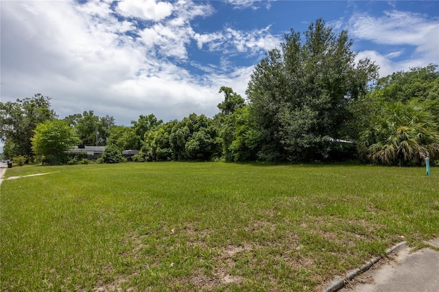 203 NW 14th Ave, Gainesville, FL 32601