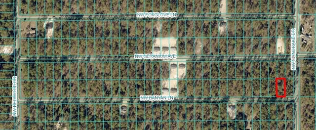 TBD NW Banyan Ln, Dunnellon, FL 34431