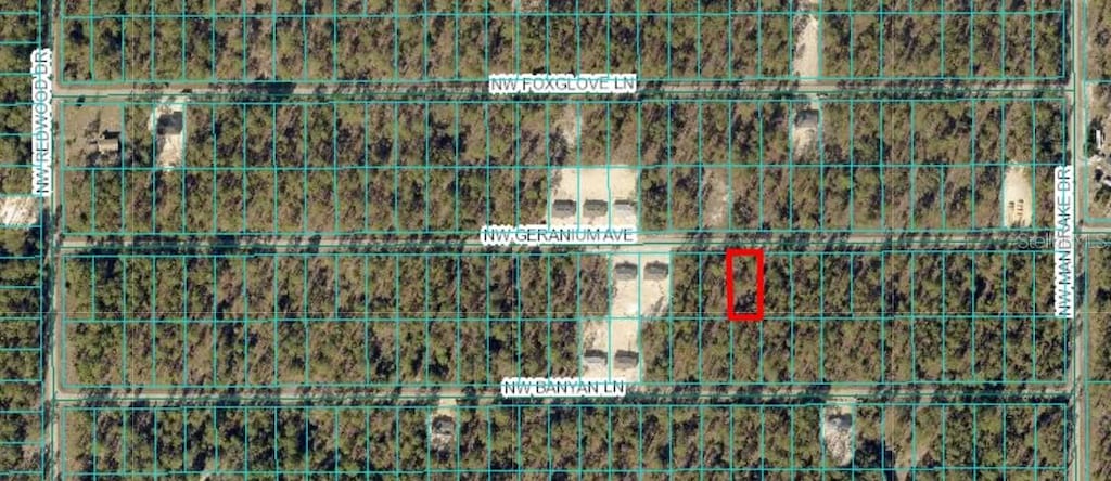 TBD NW Geranium Ave, Dunnellon, FL 34431 - photo 1