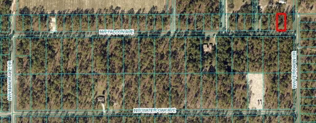TBD NW Falcon Ave, Dunnellon, FL 34431 - photo 1