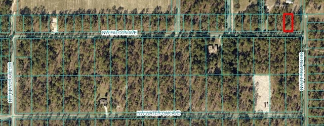 TBD NW Falcon Ave, Dunnellon, FL 34431 - photo 1