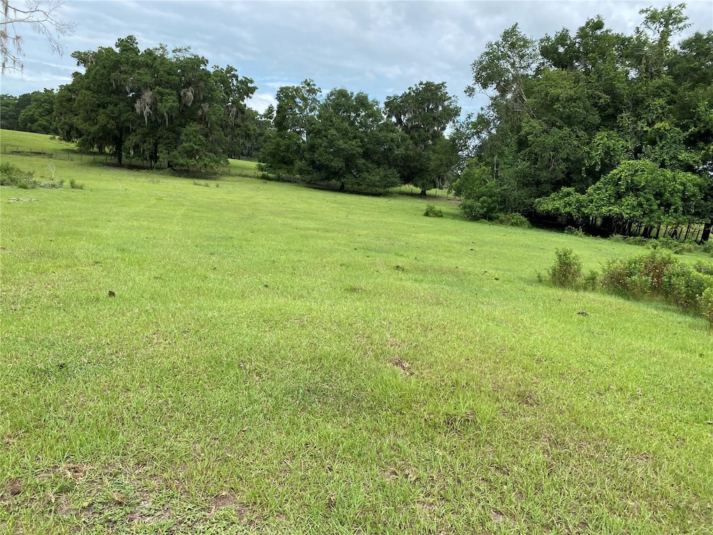 1880 NE 172nd Pl, Citra, FL 32113 - photo 1