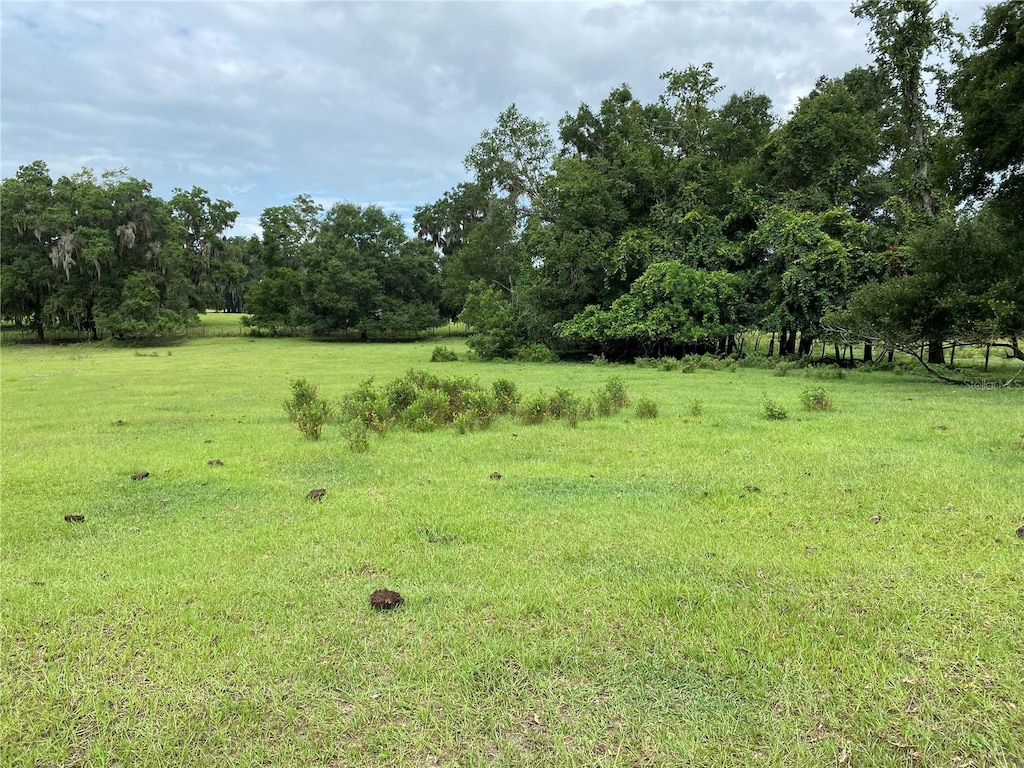 1880 NE 172nd Pl, Citra, FL 32113 - photo 2