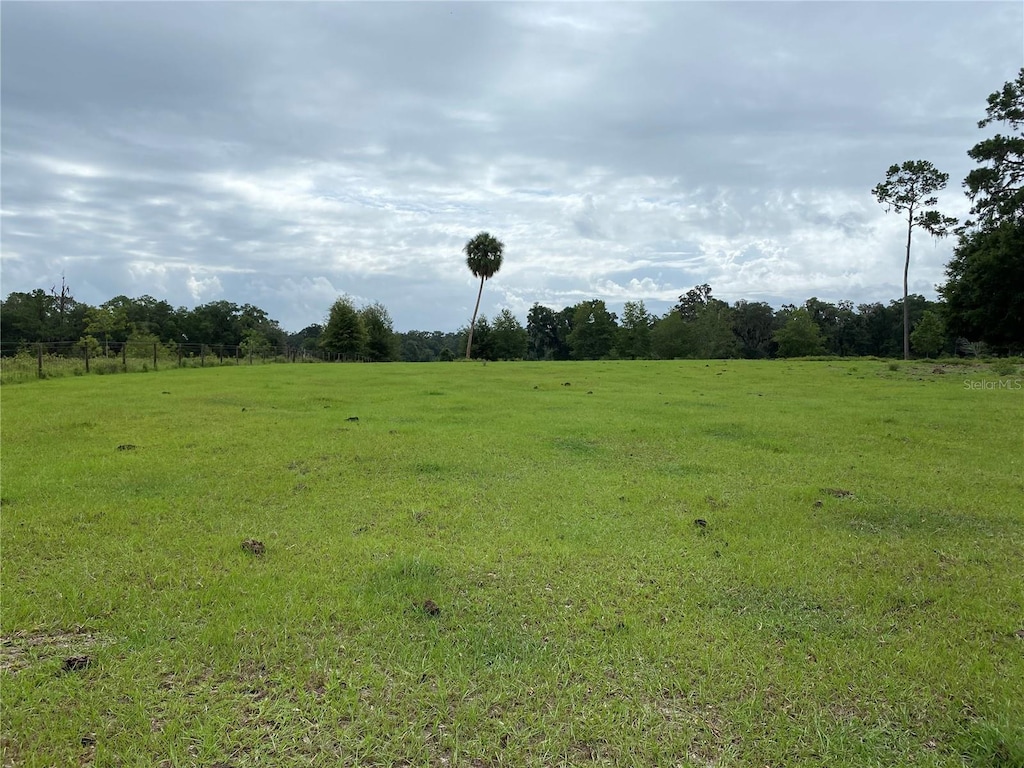 1880 NE 172nd Pl, Citra, FL 32113 - photo 3