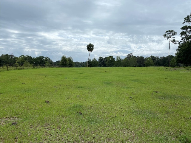1880 NE 172nd Pl, Citra, FL 32113 - photo 3