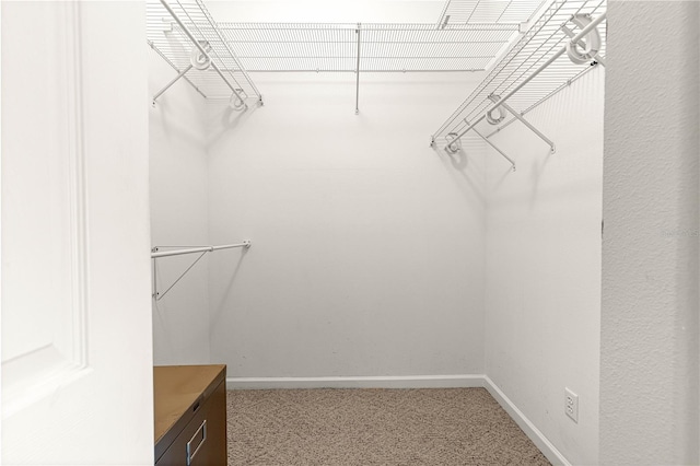 5543 NW 25th Loop, Ocala, FL 34482 - walk in closet with carpet