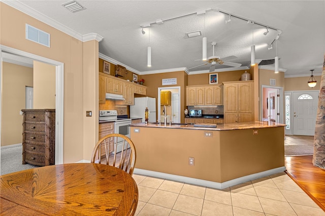 5543 NW 25th Loop, Ocala, FL 34482 - kitchen with white appliances, track lighting, a large island with sink, under cabinet range hood, and ceiling fan