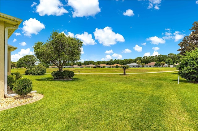 5543 NW 25th Loop, Ocala, FL 34482 - view of grassy yard with a residential view