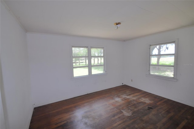 18491 NE State Road 121, Williston, FL 32696 - photo 23