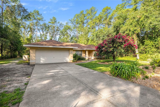 26 Bay Place Run, Ocklawaha, FL 32179 - photo 3