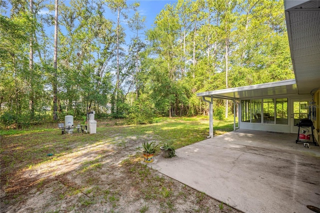 26 Bay Place Run, Ocklawaha, FL 32179 - photo 23