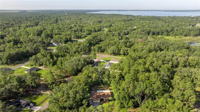 26 Bay Place Run, Ocklawaha, FL 32179 - photo 29