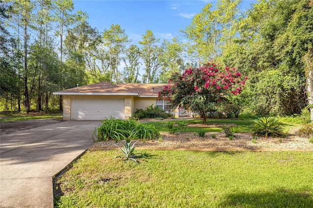 26 Bay Place Run, Ocklawaha, FL 32179 - photo 30
