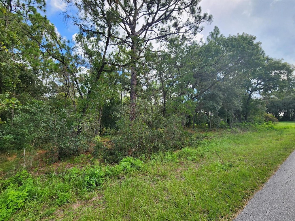 579 W Olympia St, Hernando, FL 34442