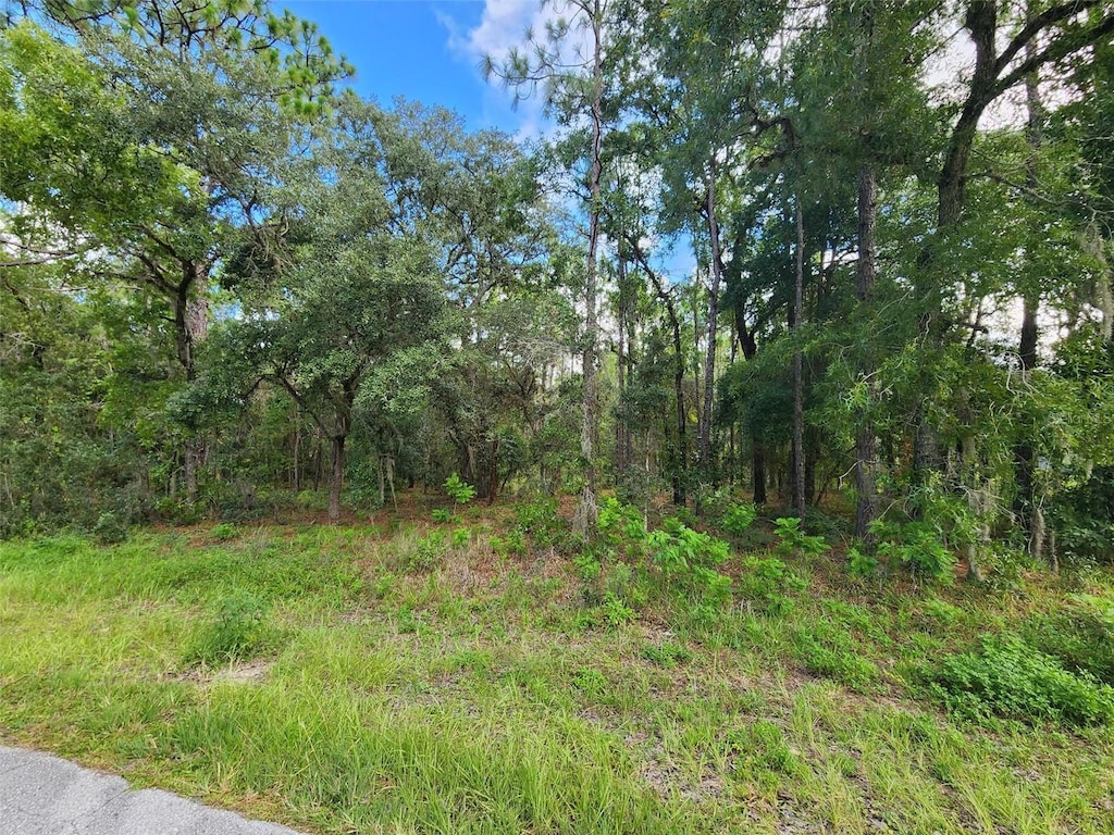579 W Olympia St, Hernando, FL 34442