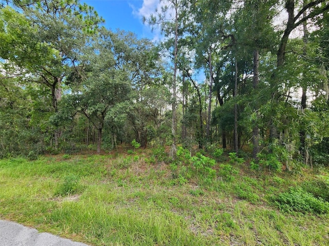 579 W Olympia St, Hernando, FL 34442