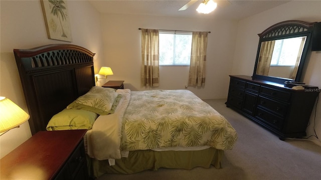6421 Remus Dr, New Port Richey, FL 34653 - bedroom featuring carpet flooring and a ceiling fan