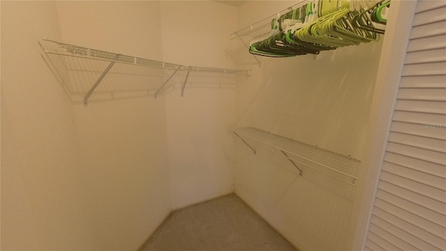 6421 Remus Dr, New Port Richey, FL 34653 - spacious closet with carpet floors