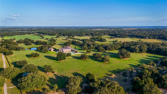 17800 SE 237th Ct, Umatilla, FL 32784 - drone / aerial view of a large body of water
