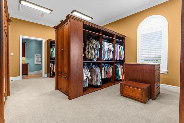 17800 SE 237th Ct, Umatilla, FL 32784 - spacious closet featuring attic access and light colored carpet