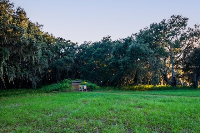 17800 SE 237th Ct, Umatilla, FL 32784 - view of yard