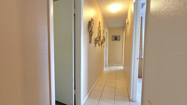 35 Palm Rd, Ocala, FL 34472 - photo 22