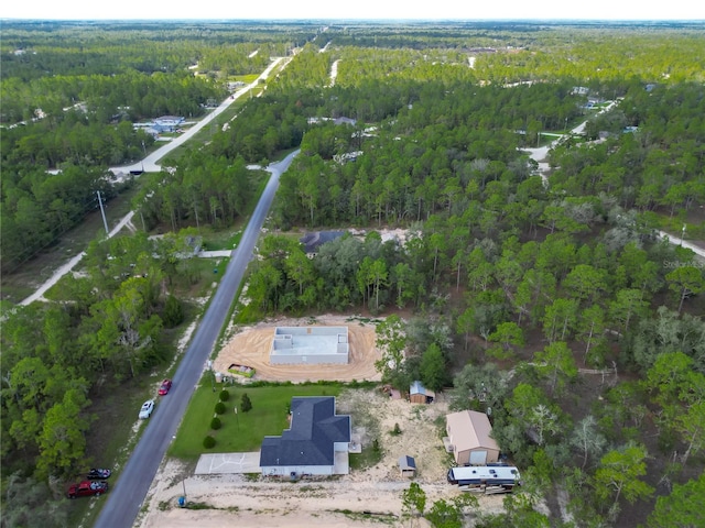 16021 Scaup Duck Ave, Weeki Wachee, FL 34614 - photo 42