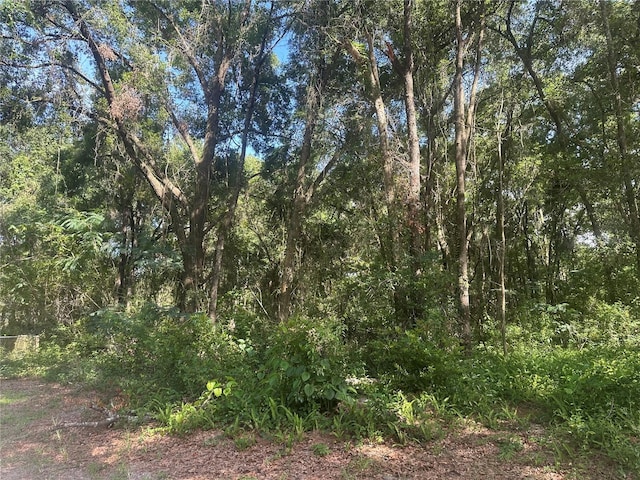 0 SE 36th, Ocala, FL 34480 - photo 8