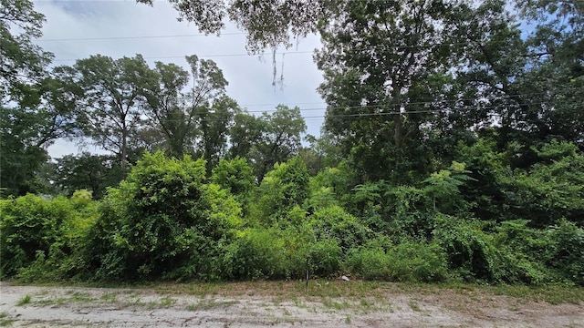 14955 SE 28th Ct, Summerfield, FL 34491 - photo 4