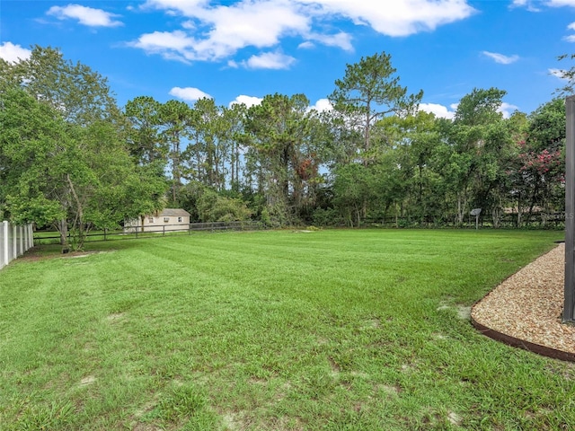 10800 SW 55th Ave, Ocala, FL 34476 - photo 42
