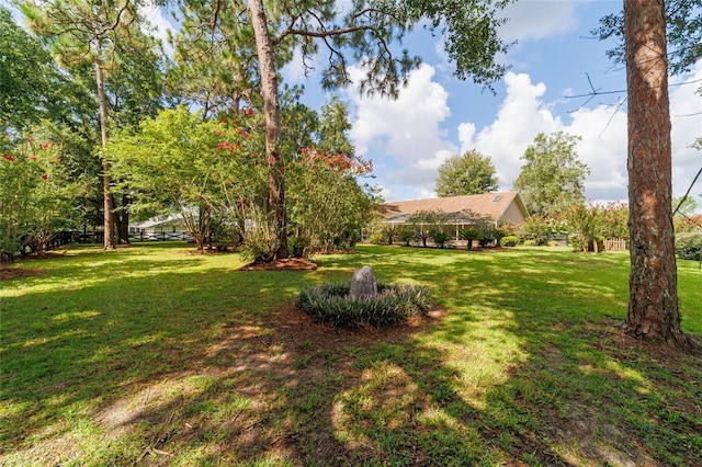 5980 NE 57th Loop, Silver Springs, FL 34488 - photo 79