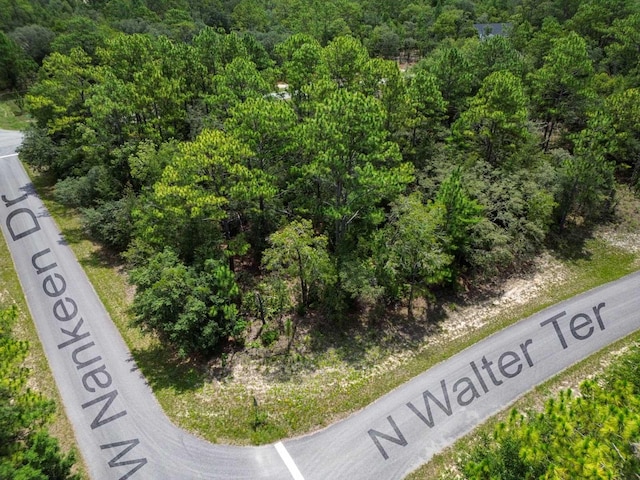 6549 N Walter Ter, Dunnellon, FL 34434
