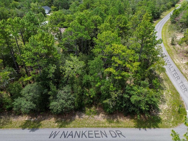 6549 N Walter Ter, Dunnellon, FL 34434