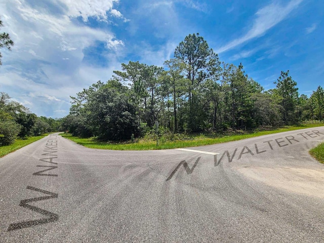 6549 N Walter Ter, Dunnellon, FL 34434