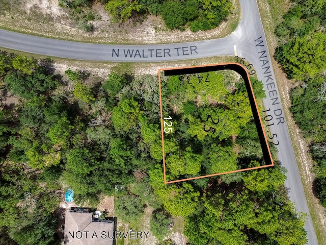 6549 N Walter Ter, Dunnellon, FL 34434