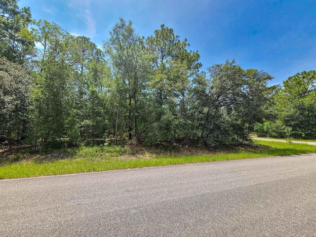 6549 N Walter Ter, Dunnellon, FL 34434