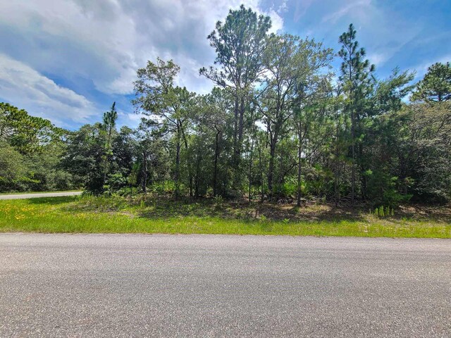 6549 N Walter Ter, Dunnellon, FL 34434