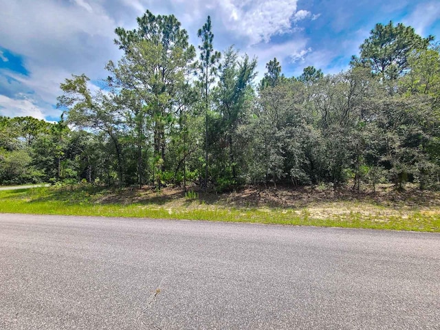6549 N Walter Ter, Dunnellon, FL 34434