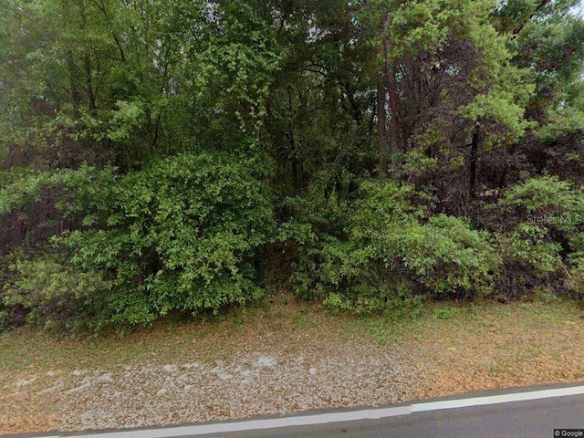 1974 W Country Club Blvd, Citrus Springs, FL 34434