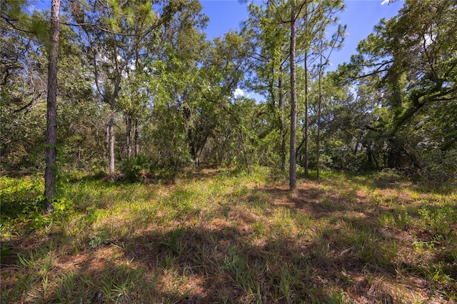 206 Linder Dr, Homosassa, FL 34446 - photo 9